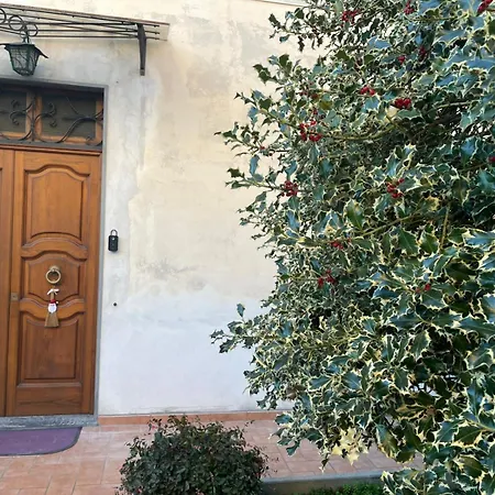 Violet - La Casa Del Pucci *
