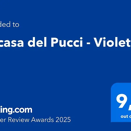 Violet - La Casa Del Pucci *